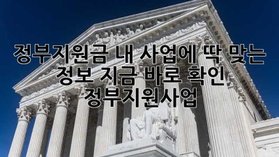 정부지원금💰 내 사업에 딱 맞는 정보, 지금 바로 확인! #정부지원사업