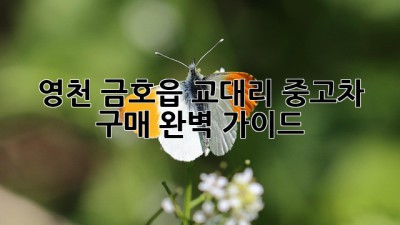 영천 금호읍 교대리 중고차 구매 완벽 가이드