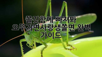 쫄깃함에 빠져봐! ✨ 오뚜기면사랑생쫄면 완벽 가이드