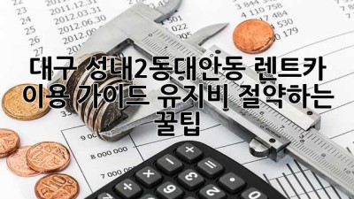 대구 성내2동/대안동 렌트카 이용 가이드: 유지비 절약하는 꿀팁!
